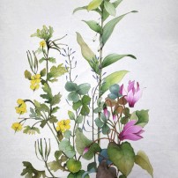 열미초_259호_조영미